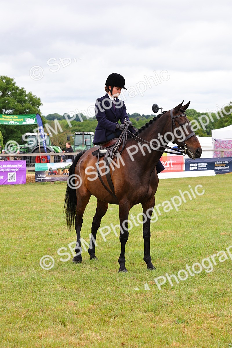 SBM_02836 - Class 9-11 Side Saddle including LIHS Rising Star Ladies Show Horse