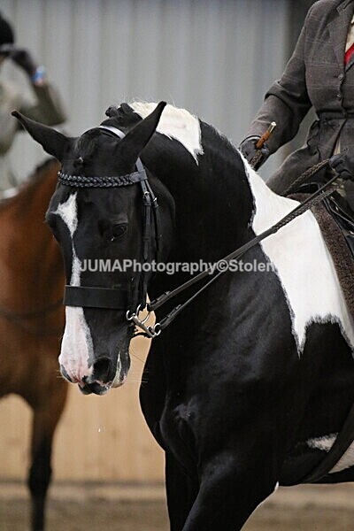 SIAL3072 - Sunday 14th Ridden