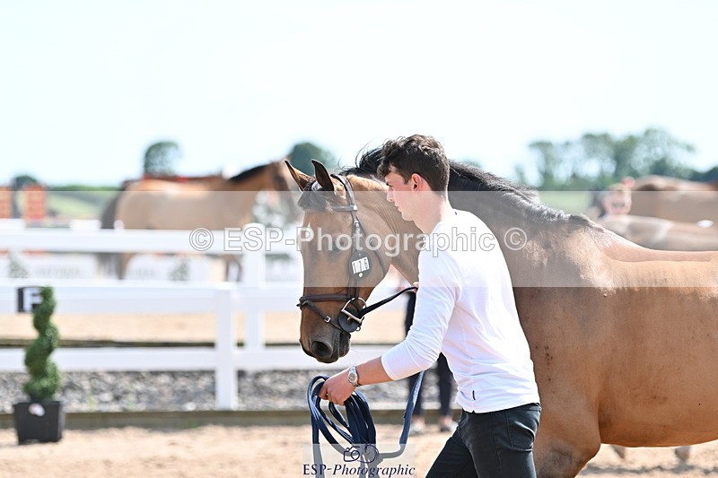 240717A-151623-02705 - Trot Up 3pm to 4pm