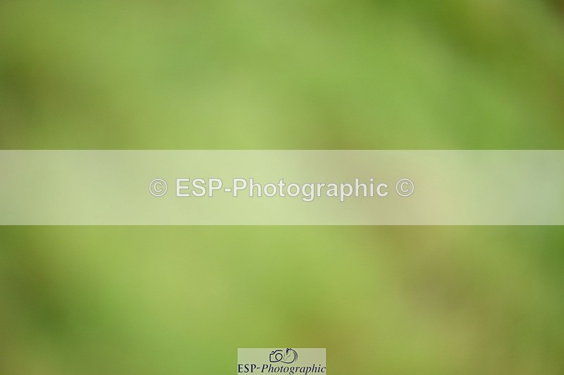 250831A-111156-09829 - Cls 35 Snr 1.20m Grand Prix