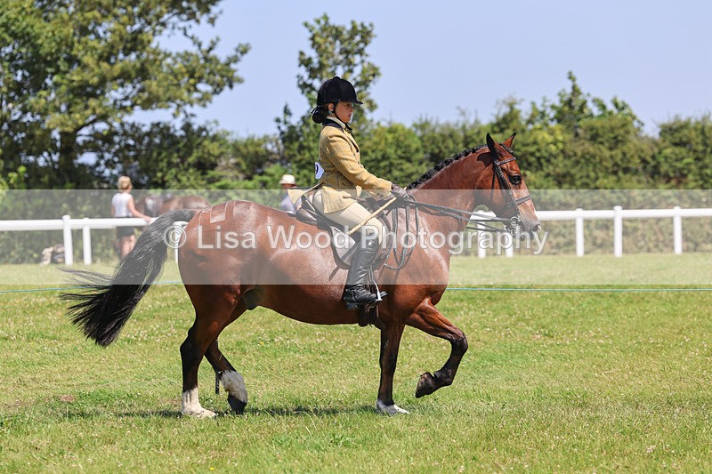 IMG_2471 - Class 38: Veteran Ridden