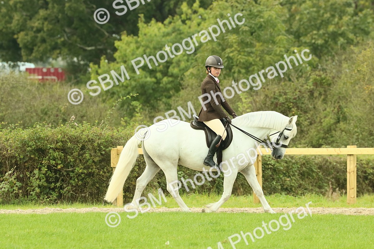 SBM_71838 - S60 - Mountain & Moorland Ridden Large Breeds