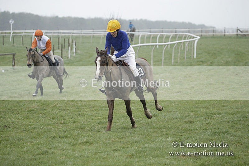 PtP 150320 0081 - New Forest Point-to-Point Larkhill 15/03/20