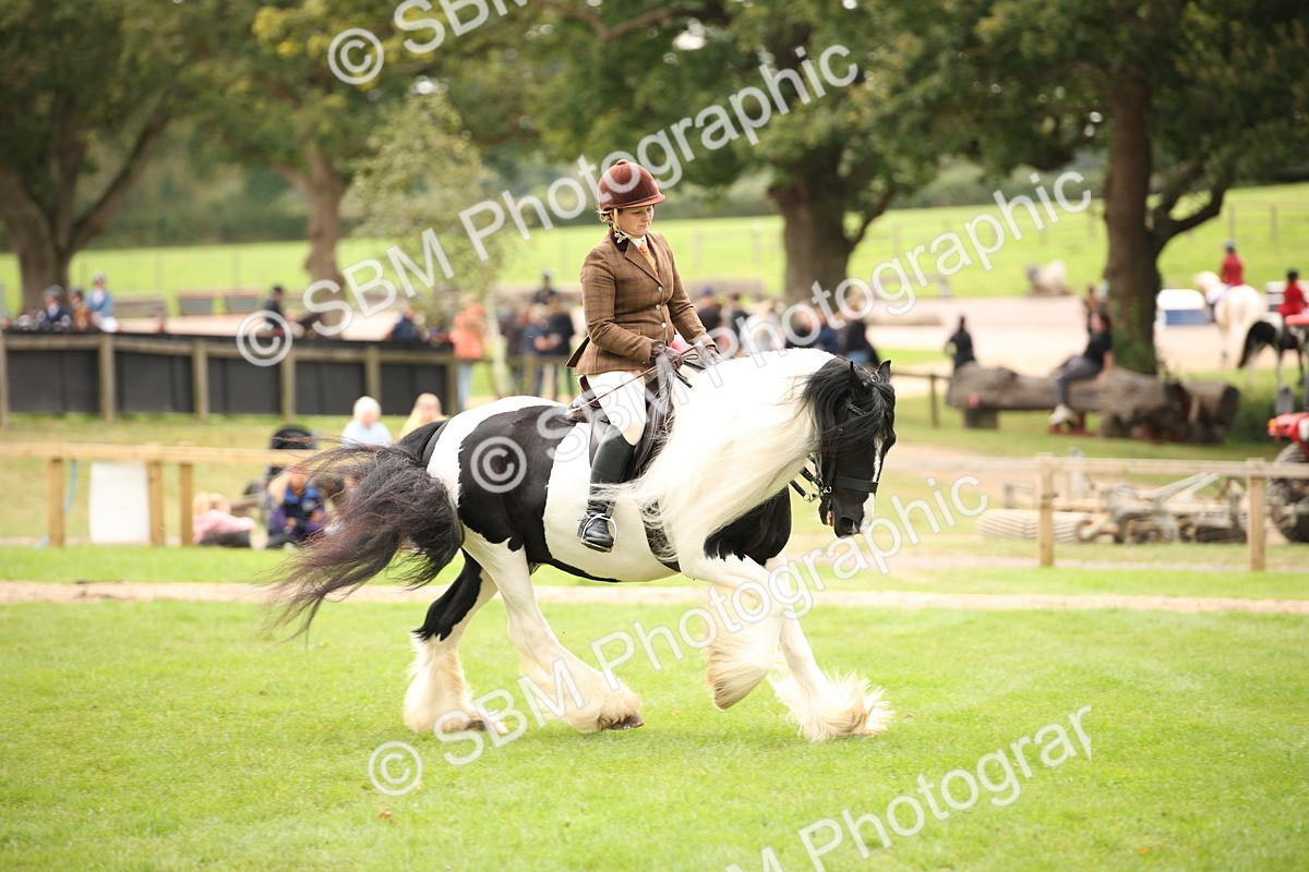 SBM_73517 - S68 - Traditional Cob Ridden