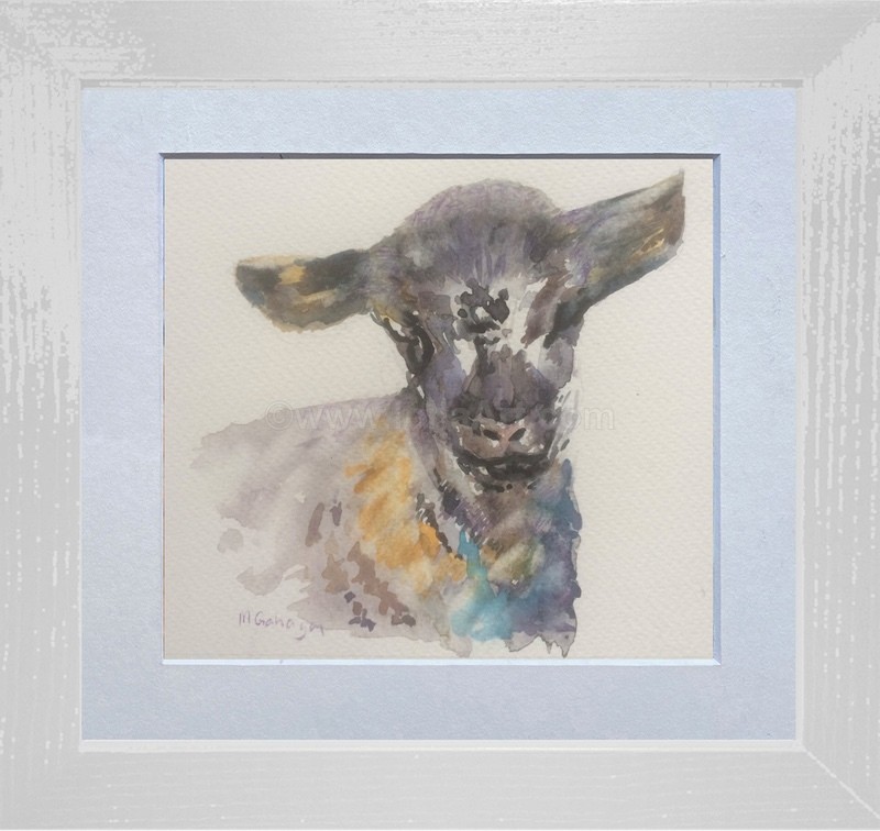 The Wee Lamb! - Widlife/Nature