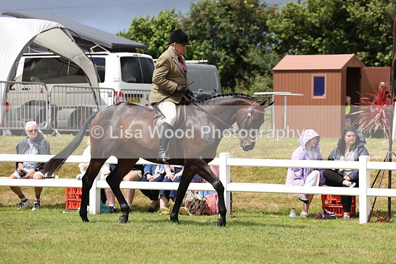 3E7A0850 - Class 8: Open Riding Horse/Hack