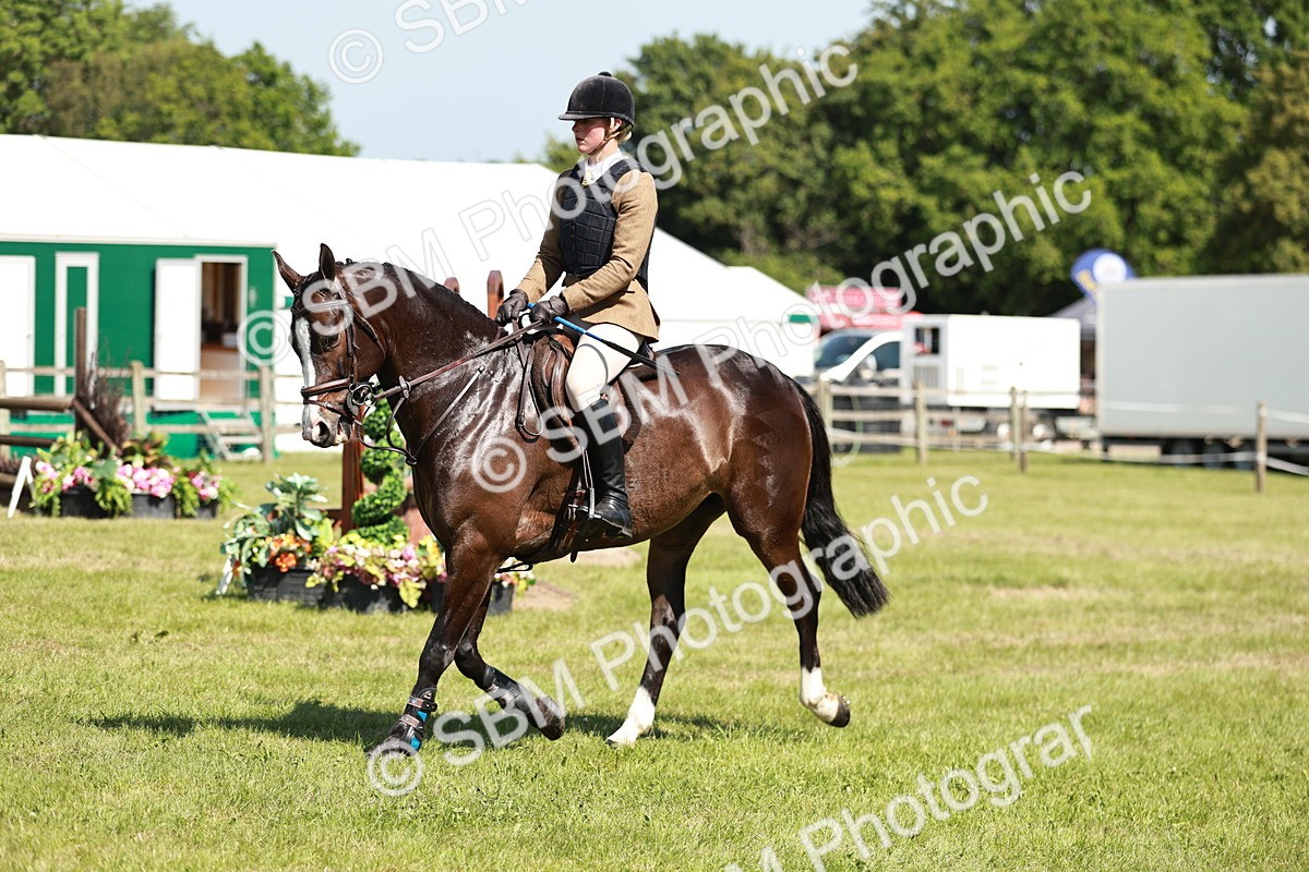 SBM_18391 - Class 112-113 - BSPS LIHS Working Sports Pony