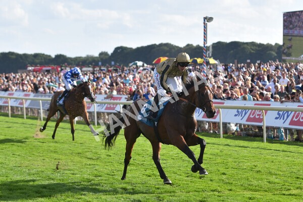 yr20082022r7-34 - Race 7 5.20pm Sky Bet Finale Stakes