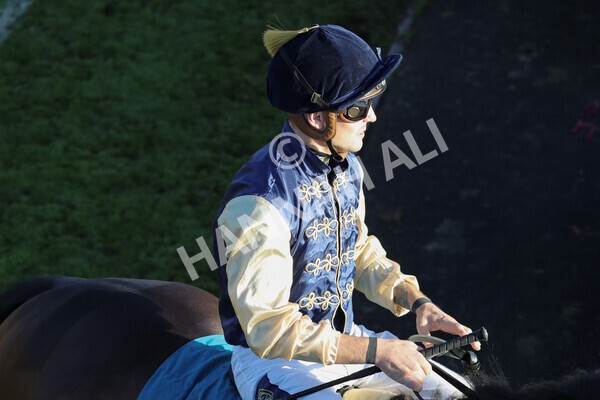 yr08102022r7-14 - Race 7 5.00pm The Coral Gets You Closer To The Action Stakes