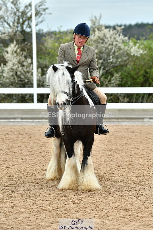 230416A-115659-04254 - Cls 72+73+69 Welsh, Trad Cob and Foreign