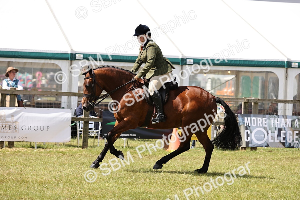 SBM_14534 - Class 88-89 - LIHS BSHA Rising Star of Ridden Hunter Type
