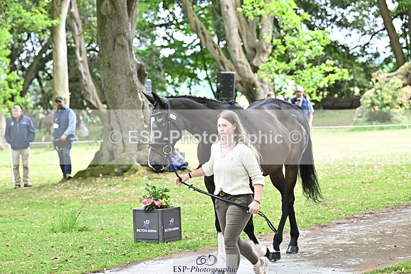 250521A-144659-00232 - A-060-Sophie.Wildern-CARTOON.HERO