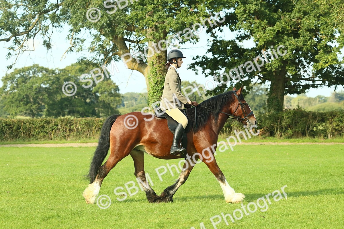 SBM_59826 - S38 - Starters Ridden Showing