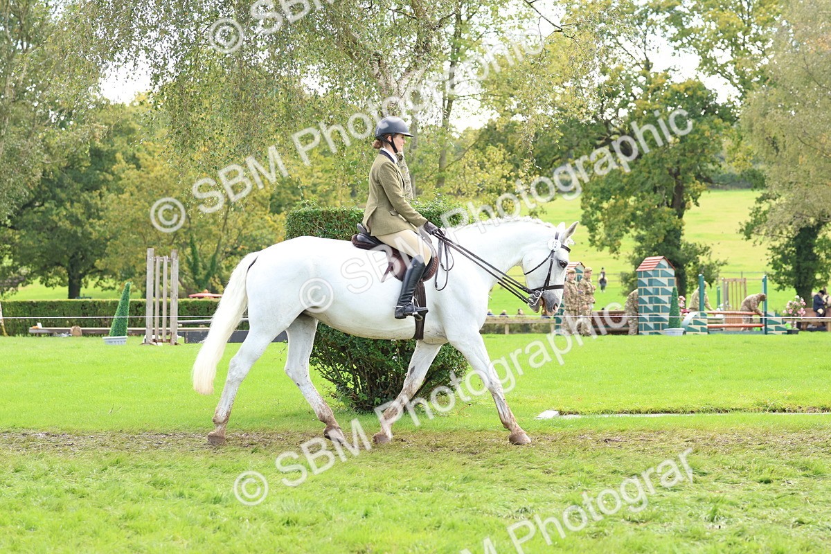 SBM_45193 - S27 - Young Veteran Ridden