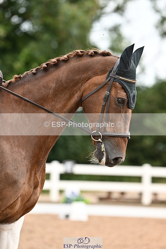 240817A-110134-07266 - 132-Nicky.Turriff-Witchcombe.Music.Man