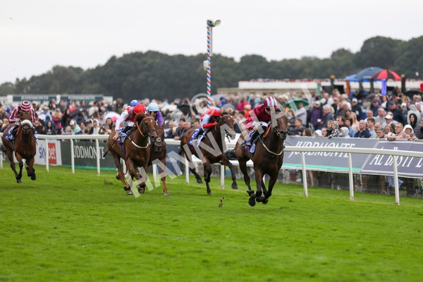 210824-Race 5-Extensio-7399 - Race 5 4.10pm Sky Bet Stayers Handicap