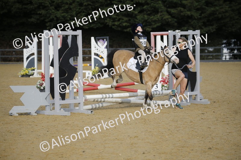 20250622-1138 - 40cm