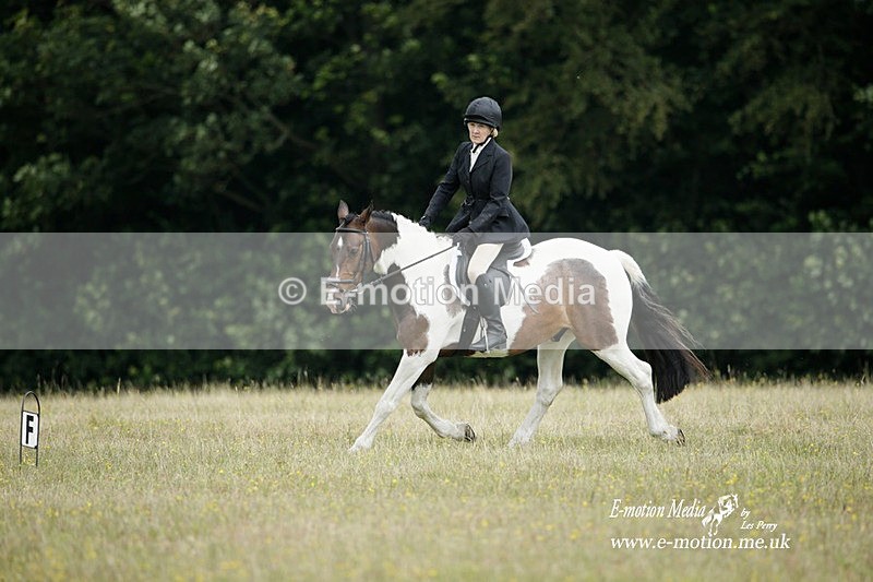 BVRC 030721 161 - Bourne Valley Riding Club Dressage 03/07/21