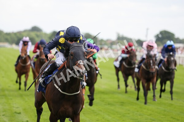 yr11062022r5-27 - Race 5 3.40pm The Pavers Foundation Catherine Memorial Sprint Stakes