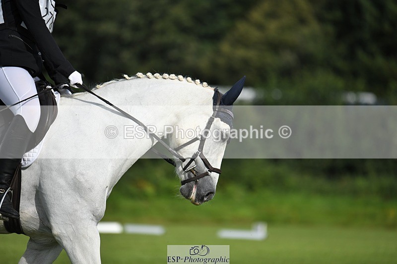 230826-091622-15064 - Sections C & D 9 to 10am