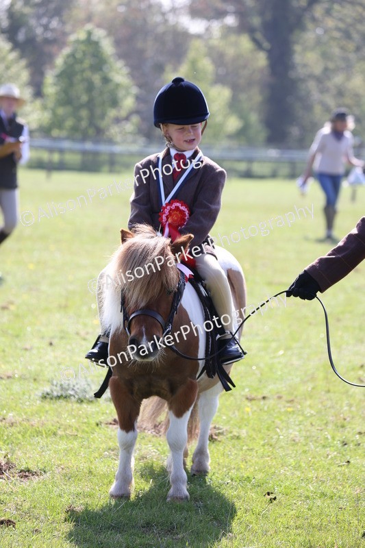 20250427-0185 - Class 30 - Tiny Tots Lead Rein