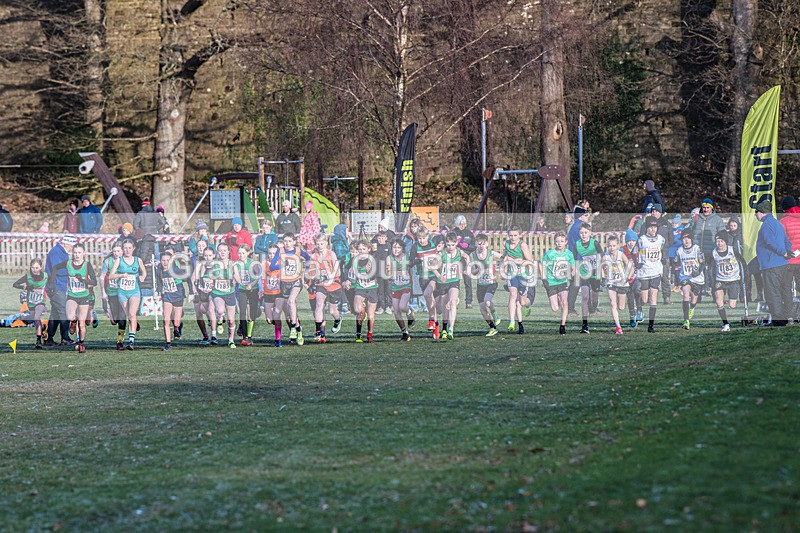 Cumbria XC-145 - Cumbria Cross Country Championships (Junior & Senior Races) Saturday 3rd January 2026