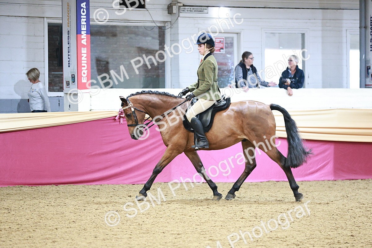 SBM_03553 - Class 6A Area Ridden Pre-Vet