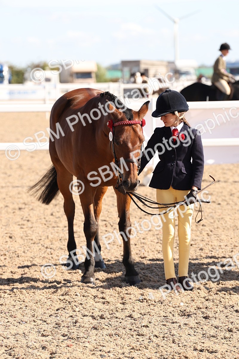 SBM_12848 - Class 205 - IH Show Pony - Show Hunter Pony