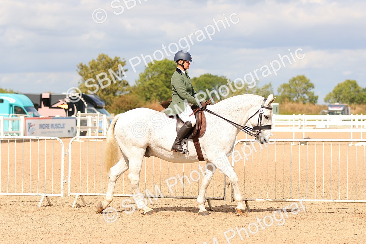 SBM_15470 - Class 214 - Ridden Show Cob