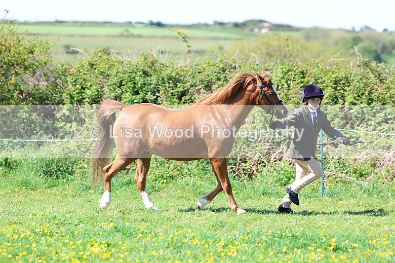 3E7A9828 - Class 17: Young Handler