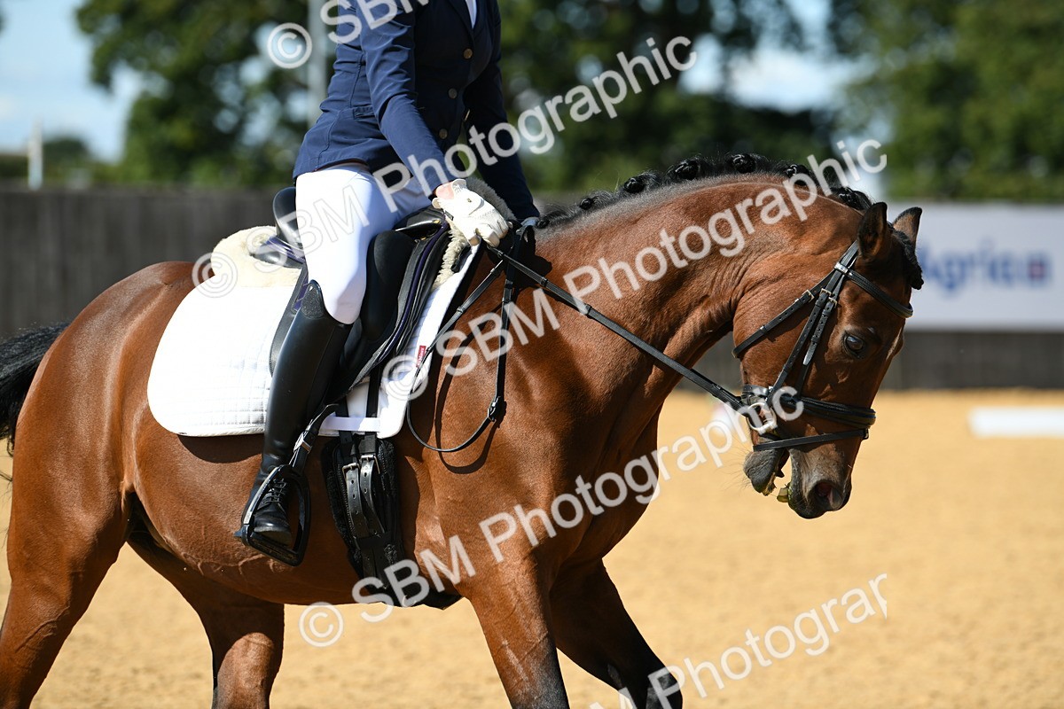 SBM_22757 - D13 - Grand Tour Championship - Prelim 12