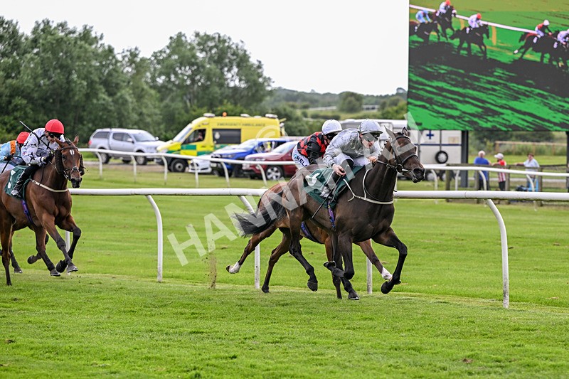220626-Race 4-Velvet Rhythm-9194 - Race 4 16.00pm Congratulations To The Happy Couple EBF Fillies' Handicap
