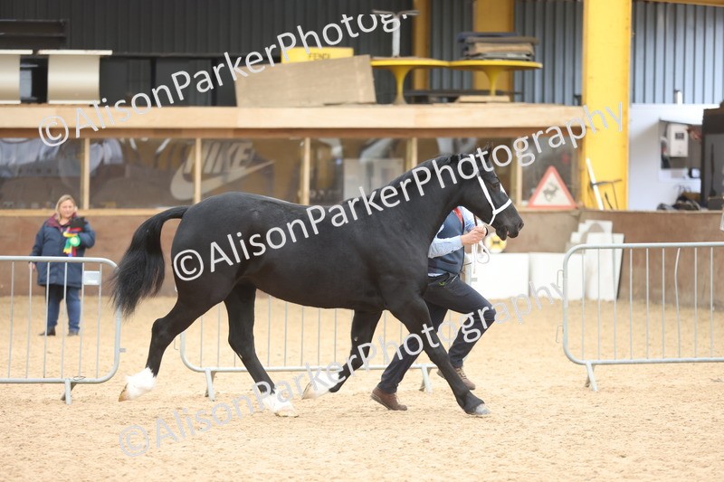 20251109-0914 - Class 26 - 2 and 4 Year Olds