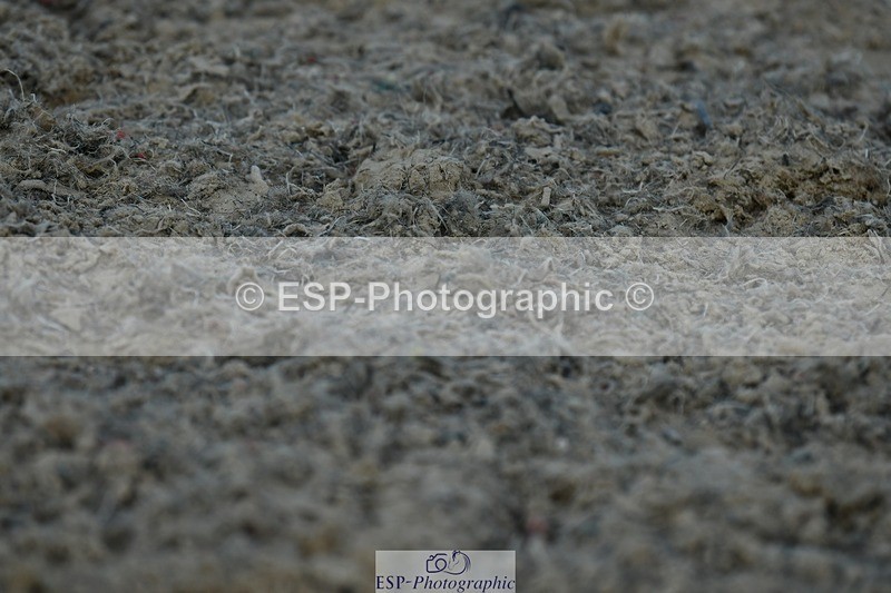 230623-182522-03255 - Cls 11 FEI PSG