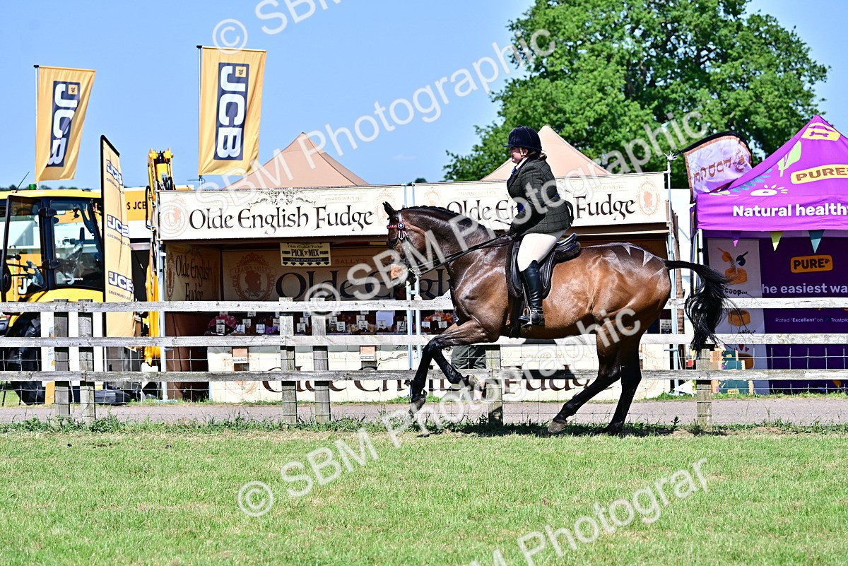 SBM_18273 - Class 99-100 - Retraining of Racehorses Ridden