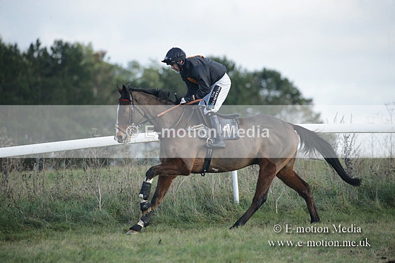 PtP 011219-0310 - Hursley Hambledon Hunt Point-to-Point 01/12/19