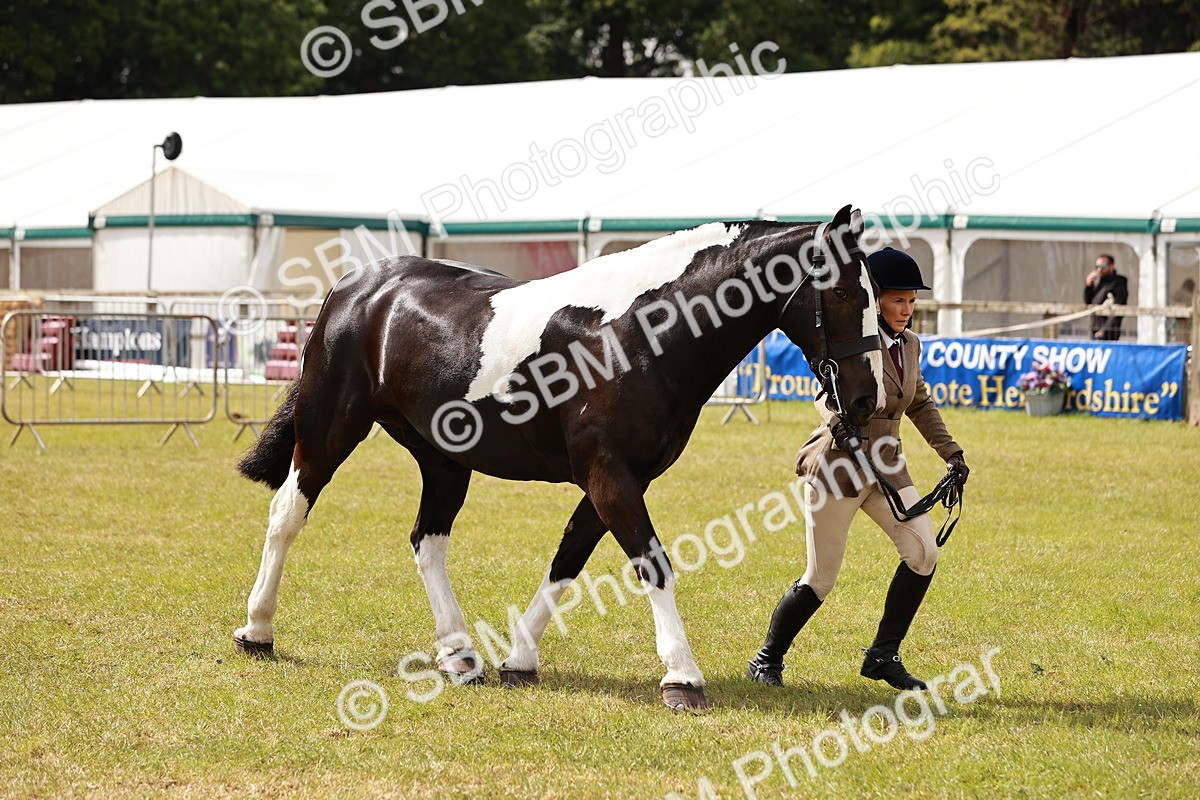 SBM_13146 - Class 85-87 - RIHS Cobs