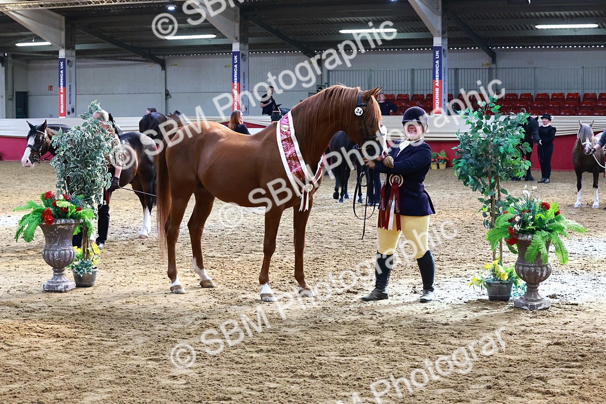 SBM_22431 - Class 902 - Supreme Final - IH Diamond