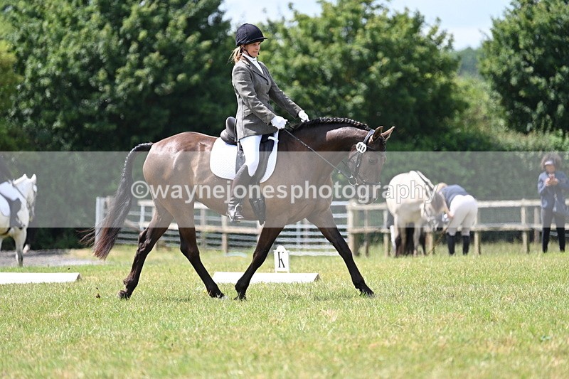 WJ7_4816 - Time 11:22 to 11:51