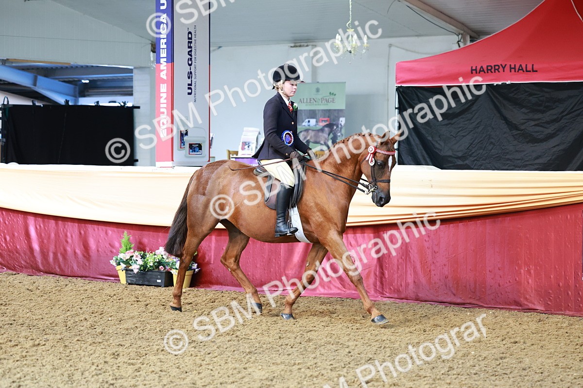 SBM_12013 - Class 102 - Equitation (Best Rider) Adult