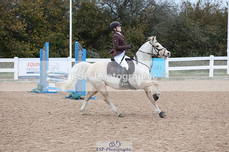 241116X-101334-00788 - Cls 08 Pony Winter Nov Champs