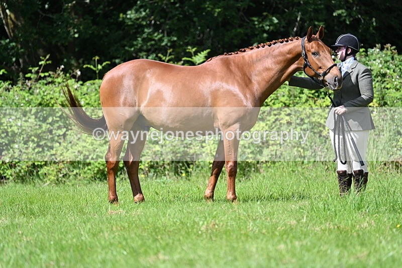 WJ7_1224 - Class 11 Condition & Turnout