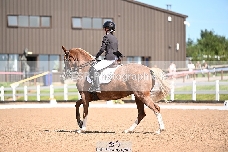 240816A-131937-05023 - 113-Ruby.Gumbley-Nova's.Golden.Dream