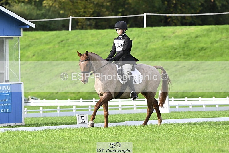 251023A-102034-02823 - F-403-Hugo.Moor