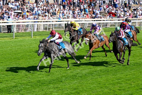110725-Race 5-Mahras Love-0422 - Race 5 4.32pm Laura Barry Memorial Handicap