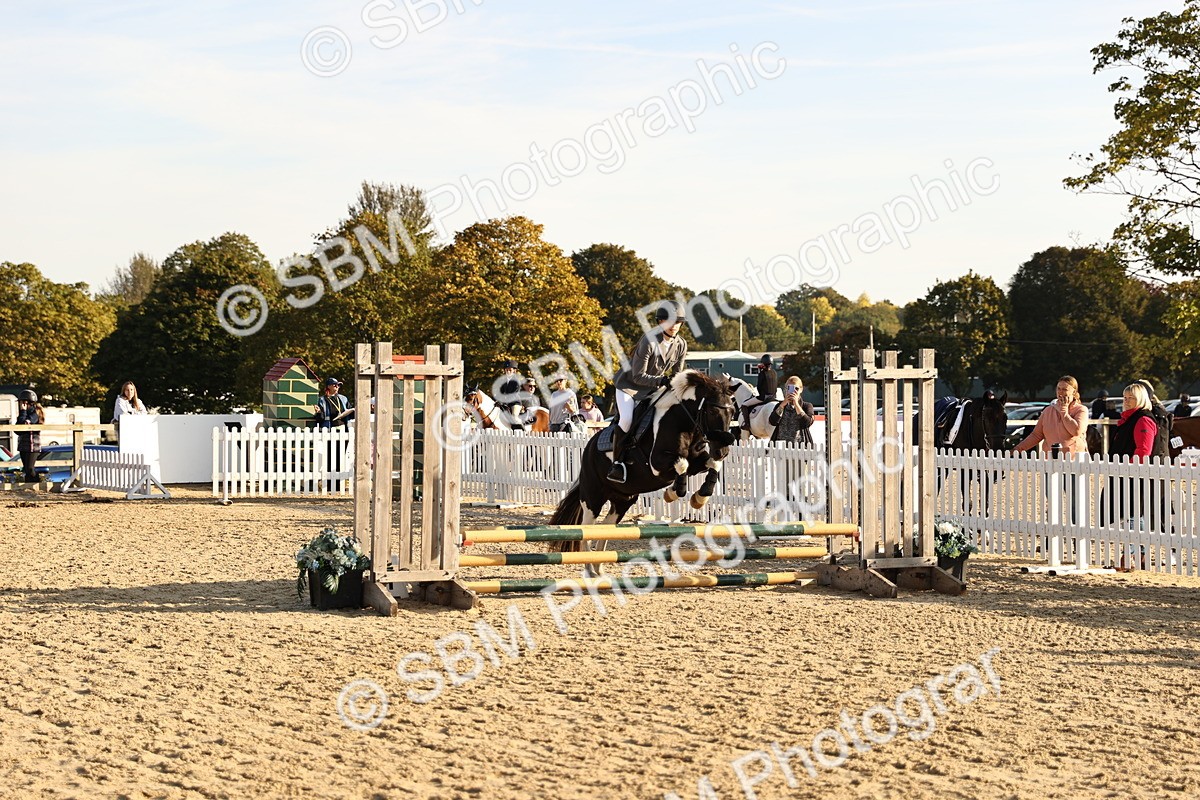 SBM_59461 - J11 - Junior Pony 50cm Championship