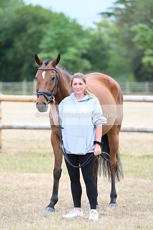 WJ7_9870 - Class 5a Most Handsome Gelding (above 14.2hh)