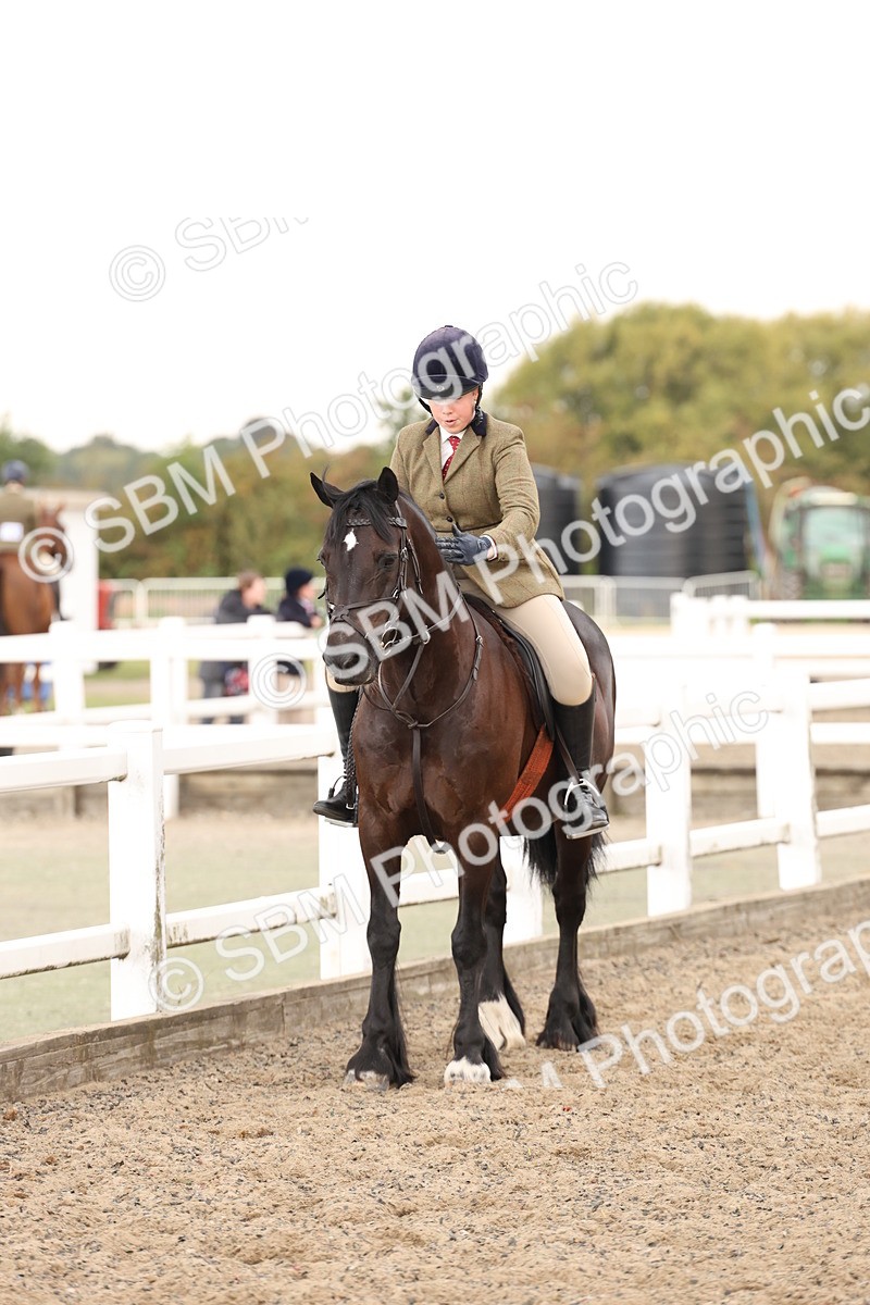 SBM_07556 - Class 59b -  Style & Performance - 80cm (20+)