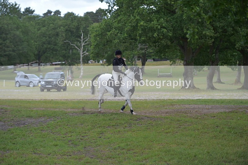 NGP_6834 - Time 10:50 to 11:00