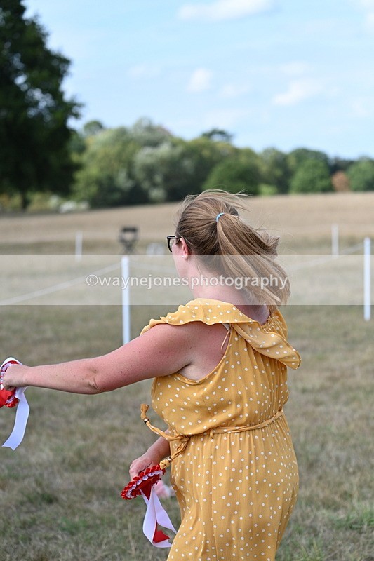 WJ7_6572 - George ...
